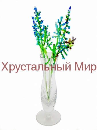     (  1 )